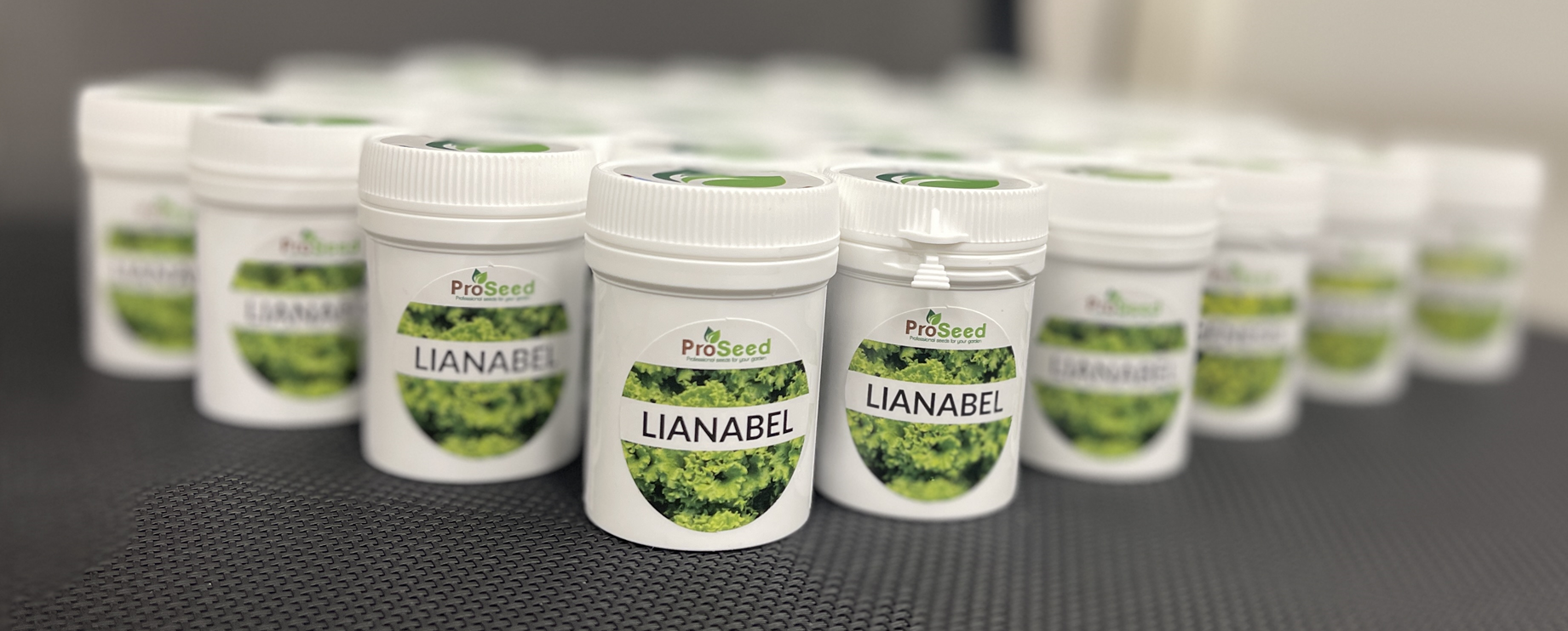 Pilirane, naklijale salate u pakiranju od 1000 sjemenki!